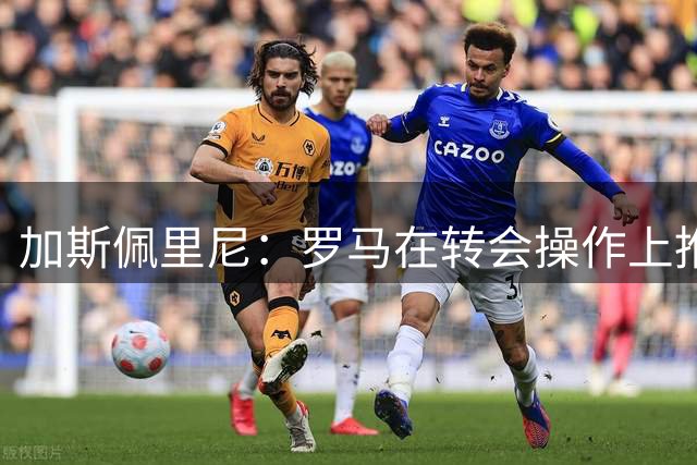 加斯佩里尼：罗马在转会操作上推进偏慢，盼弗里德金加快节奏